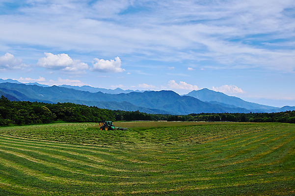 포토 JPG 주간 구름 자연 하늘 산 풍경 사람없음 야외 농경지 농사 맑음 추수 트랙터 국내포토 자연요소 농업 날씨 농장 농기계 생태계 특수차량 파일형식