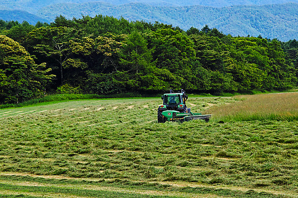 포토 JPG 주간 나무 구름 자연 하늘 한명 풍경 야외 농경지 추수 농부 숲 트랙터 국내포토 자연요소 식물 직업 1 농업 사람 농장 농기계 생태계 특수차량 파일형식