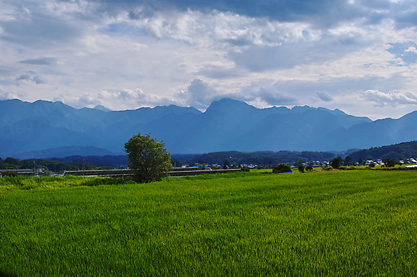 포토 JPG 주간 나무 구름 자연 하늘 산 논 풍경 사람없음 야외 농경지 국내포토 자연요소 식물 농업 농장 생태계 파일형식