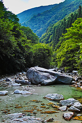 포토 JPG 주간 나무 자연 산 풍경 사람없음 야외 계곡 바위 숲 국내포토 자연요소 식물 돌_바위 생태계 파일형식