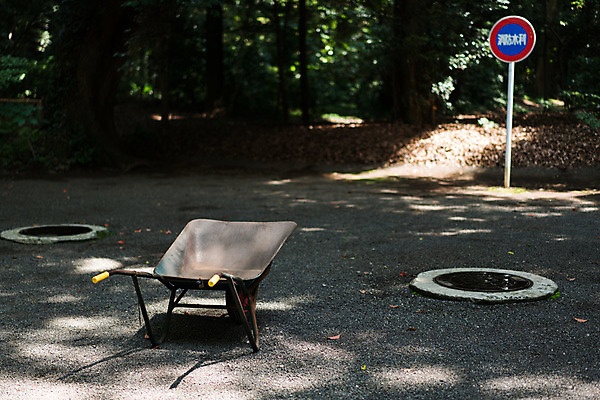 포토 JPG 주간 나무 거리 거리풍경 풍경 사람없음 야외 아웃포커스 수레 표지판 맨홀 국내포토 자연요소 식물 알림판 촬영기법 카트 파일형식