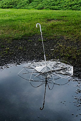 포토 JPG 주간 우산 물그림자 풍경 잔디 사람없음 야외 웅덩이 국내포토 자연요소 식물 그림자 파일형식