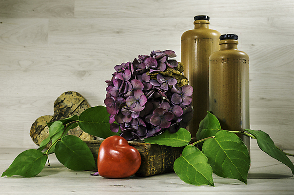 포토 JPG 해외이미지 꽃 분홍색 백그라운드 잎 유리 사람없음 목재 책 초록색 노란색 꽃병 나뭇가지 죽음 박 정물화 해외202004 해외포토 나무 식물 컬러 재료 재질 그림 파일형식 이미지허브