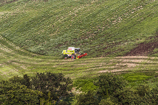 포토 JPG 해외이미지 나무 계절 산업 선 음식 농업 자연 씨앗 사람없음 빨간색 물 햇빛 힘 기계 수확 시골 선택 휘발유 밀 언덕 공학 땅바닥 해외202004 해외포토 자연요소 식물 교육 컬러 컨셉 곡류 바닥 태양 석유 생태계 파일형식 이미지허브