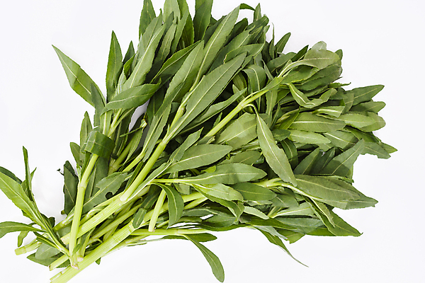 포토 JPG 해외이미지 식물 아시아 음식 줄기 잎 채소 재료 건강 사람없음 초록색 여름 약초 자르기 다발 허브 흰배경 내추럴 영원 채식주의자 비건 해외202004 해외포토 계절 나라 컬러 백그라운드 모션 흰색 풀_식물 채식 파일형식 이미지허브