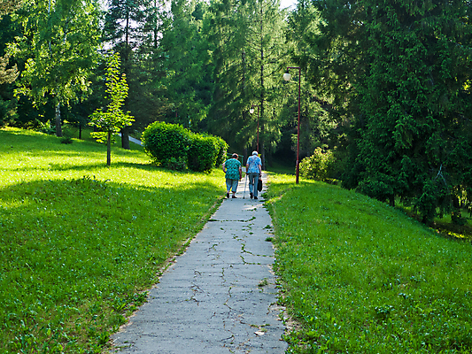 포토 JPG 해외이미지 나무 식물 공원 노년 꽃 유럽 사람 사람없음 슬로바키아 해외202004 해외포토 공공시설 나라 성인 파일형식 이미지허브