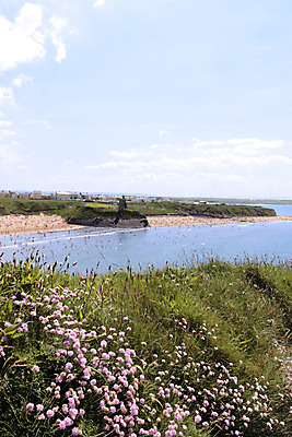 포토 JPG 해외이미지 구름 꽃 모래 바다 여행 놀이 하늘 휴가 수영장 따뜻함 사람 해변 사람없음 초록색 물 여름 파란색 모래사장 여행객 평화 탑 수영 절벽 뜨거움 서핑 가장자리 군중 휴양지 아일랜드 옛날 파라다이스 파멸 해외202004 해외포토 자연요소 식물 건축물 계절 유럽 컬러 컨셉 장소 수상스포츠 둘레 파일형식 소멸 이미지허브