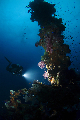 포토 JPG 해외이미지 바다 한명 성인 빛 수중 손전등 잠수부 석호 성인한명만 해외202004 해외포토 1 조명 사람 전문직 성인만 파일형식 이미지허브