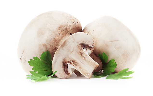 포토 JPG 해외이미지 음식 백그라운드 채소 재료 사람없음 반사 버섯 흰색 신선 수집 먹기 오브젝트 유기농 고립 숙성 식용 채식주의자 해외202004 해외포토 웰빙 컬러 모션 채식 파일형식 이미지허브