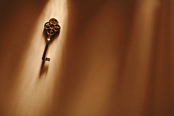 포토 JPG 해외이미지 직업 돈 비즈니스 성공 열쇠 부동산 주택 안전 사람없음 금융 경제 판매 세일 금속 희망 펼침 업무 오픈 재산 계획 기회 잠금 보안 투자 주인 대출 고집 옛날 해외202004 해외포토 감정 컨셉 모션 재질 건물 작업 파일형식 이미지허브