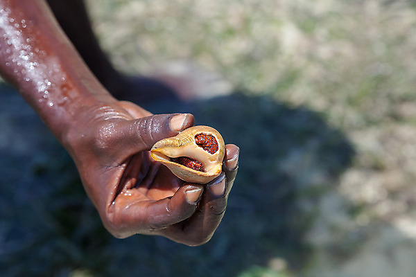 포토 JPG 해외이미지 손 모래 바다 여행 자연 휴가 조개 휴식 손바닥 사람 사람없음 야외 여름 파란색 태양 껍질 잡기 싱크대 암초 가리비 파라다이스 해외202004 해외포토 자연요소 계절 컬러 컨셉 모션 어패류 신체부위 개수대 생태계 파일형식 이미지허브