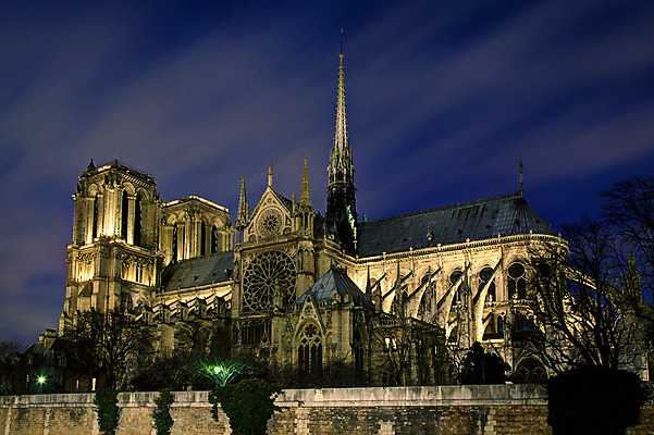 포토 JPG 해외이미지 나무 건축물 건축양식 풍경 사람없음 야외 빛 담장 프랑스 도시 야간 파리_프랑스 노트르담대성당 해외202004 해외포토 자연요소 식물 건축 유럽 성당 파일형식 이미지허브