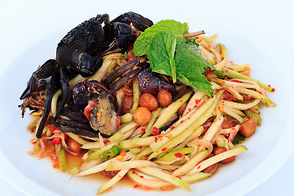 포토 JPG 해외이미지 전통 접시 아시아 문화 음식 토마토 채소 과일 태국 자연 고추 새우 건조 건강 요리 동양인 사람없음 초록색 식사 샐러드 에너지 게 흰색 신선 뜨거움 설탕 레몬 매움 소금 망고 인기 절임 짠맛 해외202004 해외포토 식기 나라 컬러 갑각류 인종 맛 열대과일 생태계 파일형식 이미지허브