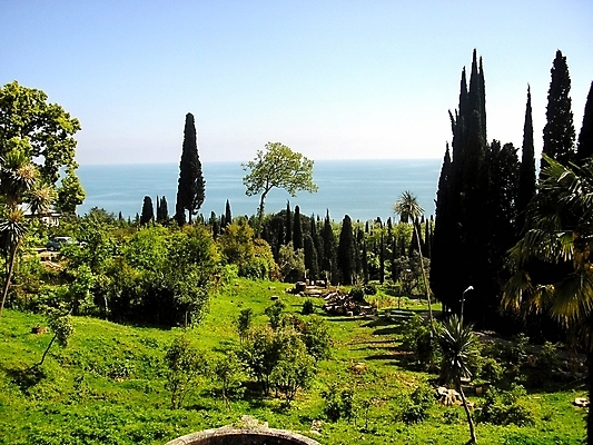 포토 JPG 해외이미지 나무 바다 여행 자연 하늘 휴가 사람없음 여름 햇빛 태양 정원 뜨거움 아열대 해외202004 해외포토 자연요소 식물 계절 생태계 파일형식 이미지허브