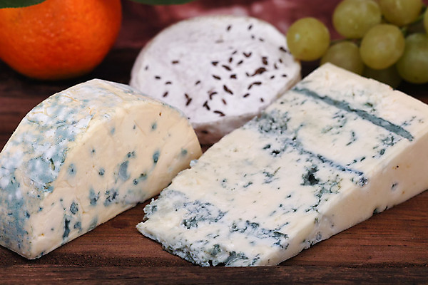 포토 JPG 해외이미지 치즈 귤 사람없음 해외202004 해외포토 과일 유제품 파일형식 이미지허브