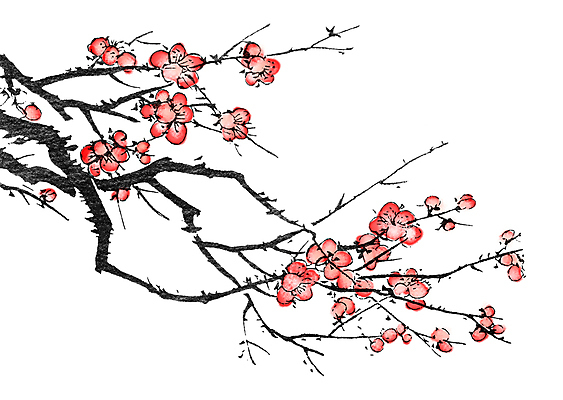 JPG 해외이미지 일러스트 붓터치 미술 사람없음 빨간색 벚꽃 먹 동양화 그림 번짐 꽃가지 해외202004 해외일러스트 꽃 컬러 서예 문화예술 나뭇가지 파일형식 효과 이미지허브