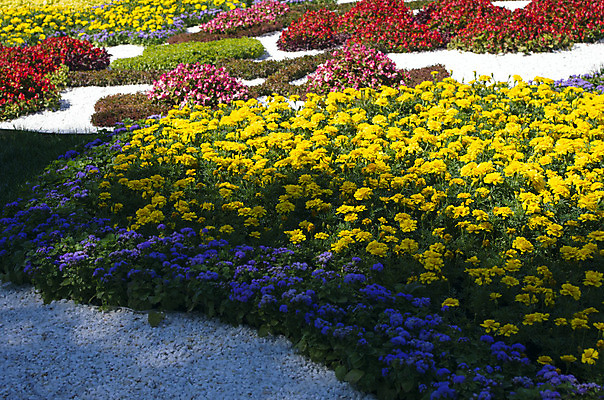 포토 JPG 해외이미지 식물 전통 계절 공원 꽃 문화 여행 꽃무늬 밭 농업 자연 풍경 사람없음 빨간색 여름 컬러풀 숫자 장미 노란색 평화 정원 보라색 경쟁 벚꽃 흰색 시골 침대 축하 심볼 2014년 화단 8월 우크라이나 전국 세련 해외202004 해외포토 문자 공공시설 유럽 산업 컬러 가구 컨셉 무늬 날짜 연도 생태계 파일형식 이미지허브