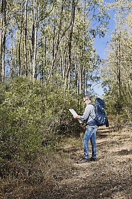 포토 JPG 해외이미지 나무 식물 1 라이프스타일 응시 계절 공원 노년 남자 스포츠 여행 배낭 자국 자연 수염 건강 한명 서기 풍경 성인 취미 야외 목재 여름 여행객 카메라 산책 하이킹 시골 숲 은퇴 사진사 장면 루트 옛날 오리엔테이션 하이커 해외202004 해외포토 시선 공공시설 가방 재료 모션 레저 휴식 사람 생활 전자제품 작가 생태계 파일형식 이미지허브