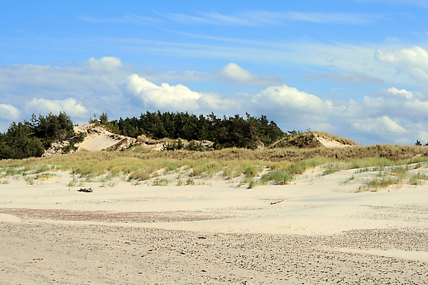 포토 JPG 해외이미지 식물 물결 모래 파도 여행 자연 하늘 표면 날씨 휴가 건조 따뜻함 풍경 경사 사람없음 야외 가로 여름 파란색 모래사장 글로벌 태양 노란색 환경 사막 뜨거움 모래언덕 언덕 질감 광택 가뭄 폴란드 파라다이스 현상 해외202004 해외포토 자연요소 계절 유럽 바다 컬러 생태계 파일형식 이미지허브