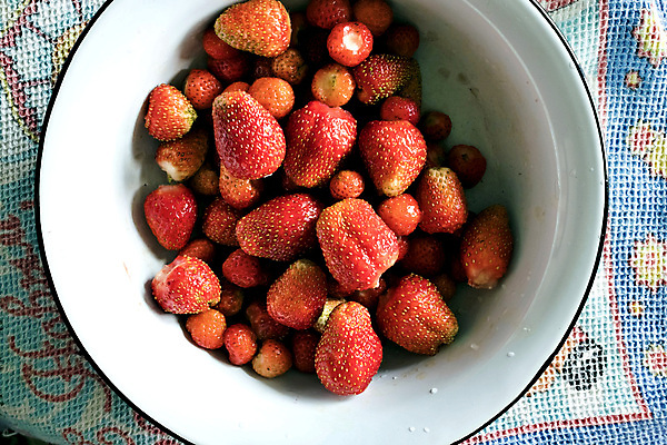 포토 JPG 해외이미지 접시 열매 음식 다이어트 과일 딸기 디저트 건강 사람없음 빨간색 여름 시골 신선 맛 아침식사 유기농 건강식 내추럴 숙성 식용 정물화 채식주의자 핸드메이드 해외202004 해외포토 식물 식기 웰빙 계절 컬러 컨셉 식사 그림 채식 파일형식 이미지허브