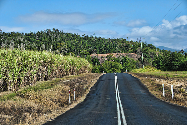 포토 JPG 해외이미지 나무 식물 도로 밭 자연 풍경 사람없음 초록색 농촌 호주 해외202004 해외포토 길 컬러 농업 교통시설 시골 오세아니아 생태계 파일형식 이미지허브
