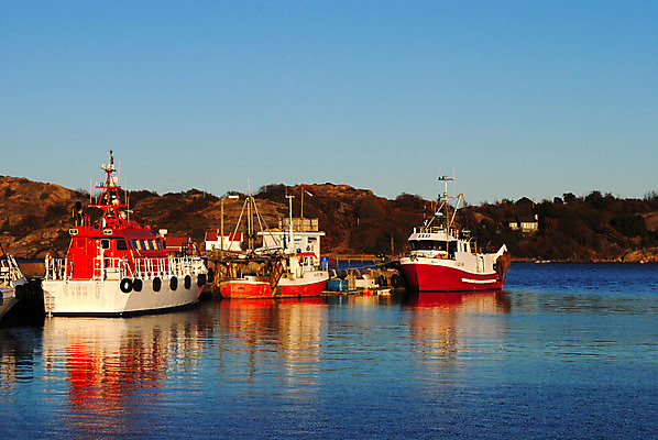 포토 JPG 해외이미지 낚시 노르웨이 사람없음 항구 어선 보트 나루 수경재배 해외202004 해외포토 유럽 배_교통 교통시설 레저 파일형식 이미지허브
