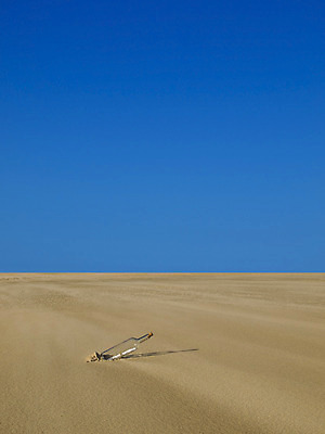 포토 JPG 해외이미지 종이 모래 섬 컨셉 통신 하늘 사람없음 야외 세로 파란색 우주 쪽지 희망 사막 황무지 메시지 구출 떨어짐 땅 편지 코르크 낭비 sos 헬프 해외202004 해외포토 감정 컬러 도움 구조요청 파일형식 이미지허브