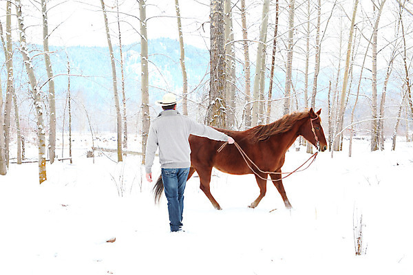 포토 JPG 해외이미지 나무 식물 동물 백인 남자 포즈 겨울 관계 부츠 한명 사람 야외 농장 갈색 가축 추위 청바지 시골 승마 카우보이 승차 숲 스웨터 구역 굴레 라이더 서쪽 해외202004 해외포토 서양인 1 계절 스포츠 컬러 신발 상의 농업 바지 모션 방향 파일형식 이미지허브