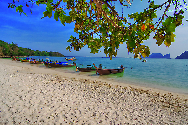 포토 JPG 해외이미지 나무 꽃 아시아 바다 섬 여행 태국 자연 하늘 휴가 열대 따뜻함 풍경 사람없음 물 파란색 맑음 보트 묶기 이국적 터키석 파라다이스 푸켓 해외202004 해외포토 자연요소 식물 나라 컬러 배_교통 모션 날씨 보석 생태계 파일형식 이미지허브
