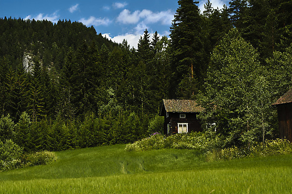 포토 JPG 해외이미지 유럽 자연 북유럽 노르웨이 풍경 사람없음 야외 스칸디나비아 해외202004 해외포토 나라 생태계 파일형식 이미지허브