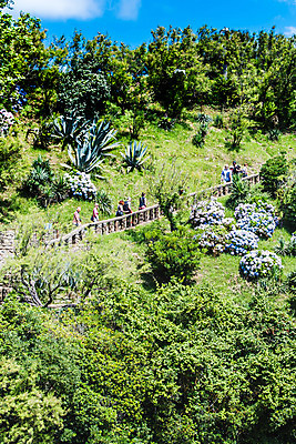 포토 JPG 해외이미지 구름 파도 바다 건축양식 하늘 호텔 주택 등대 사람없음 파란색 태양 만 휴양지 포트 대서양 구시가지 해외202004 해외포토 자연요소 건축 컬러 숙소 건물 장소 파일형식 이미지허브