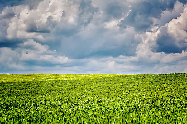 포토 JPG 해외이미지 주간 식물 구름 밭 농업 자연 하늘 풍경 잔디 사람없음 야외 농경지 환경 농사 농촌 낟알 시리얼 밀 생태계 흐림 밭일 생태학 그리너리 해외202004 해외포토 자연요소 교육 산업 음식 날씨 곡류 농장 시골 파일형식 트랜드컬러 이미지허브
