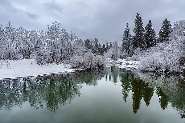 포토 JPG 해외이미지 모양 나무 구름 계절 여행 겨울 자연 하늘 날씨 휴가 풍경 사람없음 야외 목재 물 강 반사 냉동 추위 가을 흰색 개울 숲 12월 서리 장면 1월 내추럴 눈내림 해외202004 해외포토 자연요소 식물 컬러 재료 눈_날씨 날짜 생태계 파일형식 이미지허브