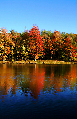 포토 JPG 해외이미지 나무 계절 호수 잎 오렌지 자연 산 주택 풍경 사람없음 물 빛 강 컬러풀 반사 노란색 항구 계곡 카펫 가을 언덕 북쪽 우수 해외202004 해외포토 자연요소 식물 컬러 과일 교통시설 건물 방향 절기 생태계 파일형식 이미지허브