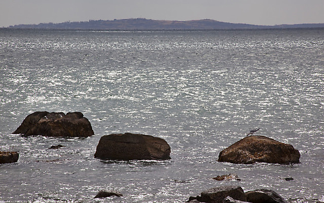 포토 JPG 해외이미지 야생동물 파도 바다 섬 여행 자연 갈매기 조류 하늘 풍경 사람없음 야외 물 파란색 빛 반사 맑음 흰색 그림 암초 대서양 해외202004 해외포토 자연요소 동물 컬러 날씨 생태계 파일형식 이미지허브