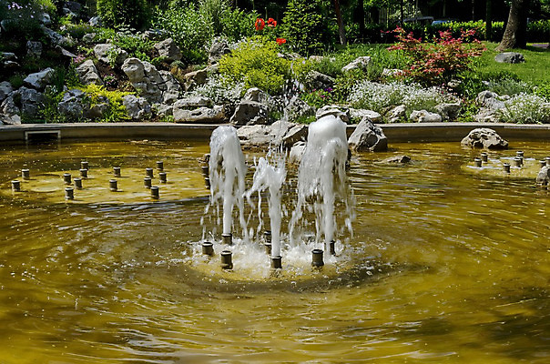 포토 JPG 해외이미지 나무 식물 디자인 꽃 꽃무늬 건축양식 자연 종류 사람없음 야외 장식 물 봄 흐름 성장 침대 신선 작음 카네이션 분수 데이지 암초 양귀비 라벤더 일반 구성 불가리아 영원 세련 해외202004 해외포토 자연요소 계절 건축 가구 컨셉 무늬 크기 허브 생태계 파일형식 남유럽 이미지허브