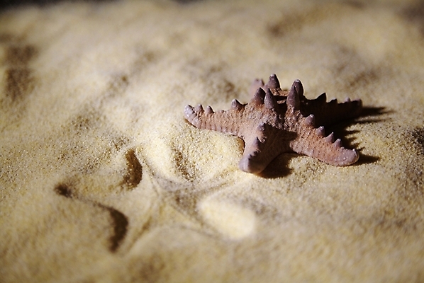 포토 JPG 해외이미지 사람없음 재산 정상 해외202004 해외포토 금융 파일형식 이미지허브