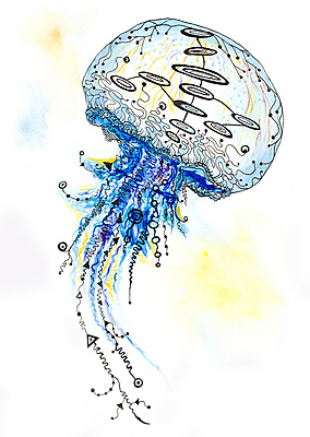 JPG 해외이미지 동물 일러스트 수채화 사람없음 파란색 해파리 해외202004 해외일러스트 컬러 자포동물 파일형식 이미지허브