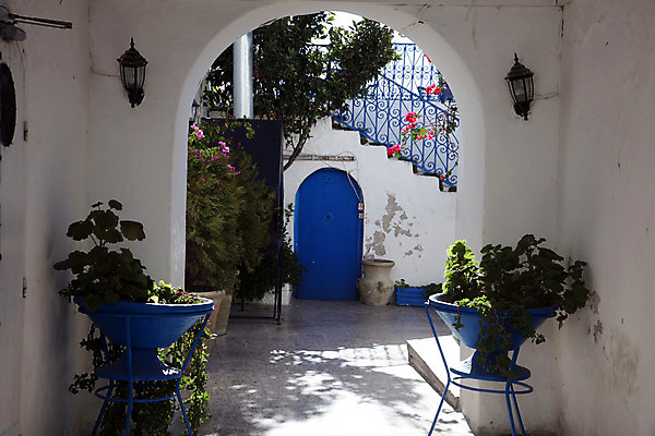 포토 JPG 해외이미지 식물 벽 건축양식 아프리카 지붕 주택 풍경 사람없음 야외 건물 장식 파란색 컬러풀 문 계단 활발 흰색 도시 지중해 단계 아랍어 튀니지 해외202004 해외포토 건축물 건축 나라 바다 컬러 컨셉 파일형식 이미지허브