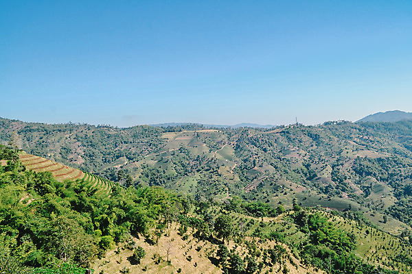 포토 JPG 해외이미지 나무 계절 공원 백그라운드 자연 하늘 산 파노라마 풍경 사람없음 야외 초록색 여름 파란색 햇빛 계곡 안개 정상 숲 언덕 장면 내추럴 해외202004 해외포토 식물 공공시설 컬러 날씨 촬영기법 태양 생태계 파일형식 이미지허브