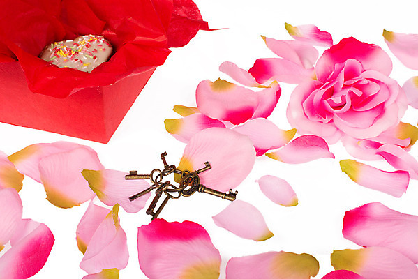 포토 JPG 해외이미지 스튜디오촬영 기념일 꽃잎 꽃 감정 분홍색 컨셉 열쇠 기념 발렌타인데이 선물 사랑 사람없음 장식 가로 빨간색 장미 축하 심볼 오브젝트 고립 해외202004 해외포토 식물 컬러 데이이벤트 실내 이벤트 파일형식 이미지허브