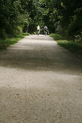 포토 JPG 해외이미지 여자 남자 스포츠 가족 자연 산 사랑 풍경 경사 성인 사람없음 야외 사이클링 산악자전거 해외202004 해외포토 감정 관계 사람 자전거 육상스포츠 생태계 파일형식 이미지허브