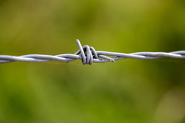 포토 JPG 해외이미지 스트레스 경고 사람없음 초록색 빛 울타리 금속 꿈 죽음 보호 위험 무서움 탈출 철 감옥 순수 날카로움 블러 얇은 해외202004 해외포토 감정 컬러 컨셉 재질 담장 파일형식 이미지허브