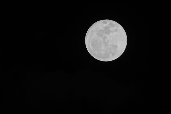 포토 JPG 해외이미지 사람없음 야외 회색 보름달 달 야간 해외202004 해외포토 자연요소 컬러 파일형식 이미지허브