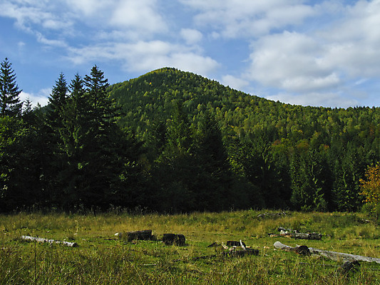 포토 JPG 해외이미지 나무 식물 구름 계절 여행 잎 꽃무늬 자연 하늘 휴식 산 풍경 사람없음 야외 초록색 빛 컬러풀 노란색 평화 산책 활발 가을 나뭇가지 시골 신선 소나무 숲 그림 내추럴 강렬 생태학 우크라이나 가문비나무 해외202004 해외포토 자연요소 교육 꽃 유럽 컬러 컨셉 무늬 생태계 파일형식 이미지허브