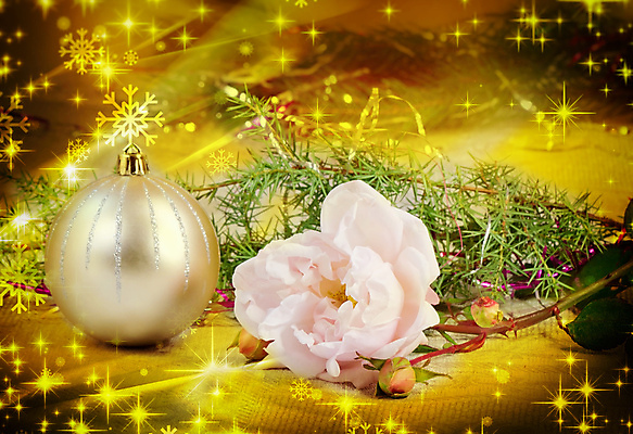 포토 JPG 해외이미지 크리스마스 공 휴가 새해 기념 사람없음 장식 초록색 장미 흰색 축하 주기 해외202004 해외포토 기념일 꽃 컬러 컨셉 모션 파일형식 이미지허브