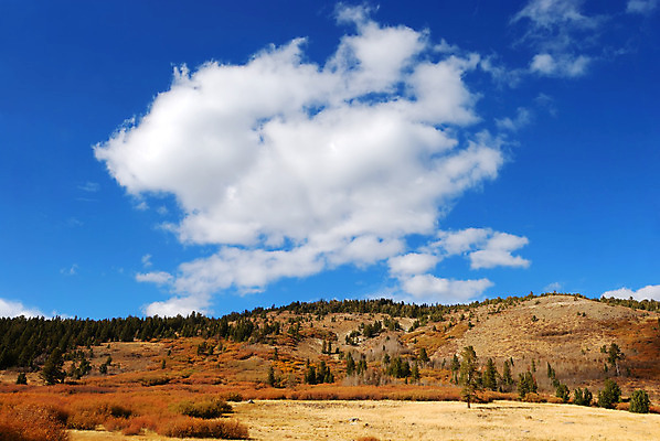 포토 JPG 해외이미지 구름 여행 자연 하늘 산 풍경 사람없음 야외 목재 여름 파란색 컬러풀 햇빛 환경 맑음 봄 트래킹 활발 가을 흰색 황무지 숲 내추럴 산악지대 삼림지대 생태학 해외202004 해외포토 자연요소 나무 계절 교육 컬러 컨셉 재료 레저 날씨 태양 생태계 파일형식 이미지허브