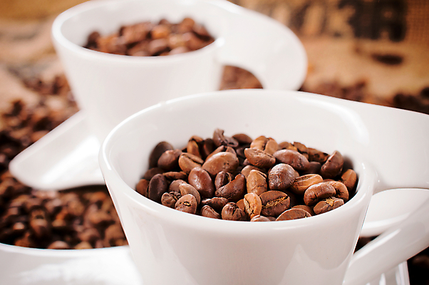 포토 JPG 해외이미지 커피 음료 음식 백그라운드 컨셉 농업 재료 자연 아침 콩 씨앗 사람없음 컵 빛 농작물 갈색 쌓기 상점 검은색 어둠 카페 신선 뜨거움 도자기 맛 굽기 날것 향기 아로마 결 향 카푸치노 카페테리아 에스프레소 흙더미 모카 백자 아랍어 카페인 해외202004 해외포토 주간 식물 식기 산업 컬러 무늬 모션 곡류 흙 구이 생태계 냄새 파일형식 더미 이미지허브