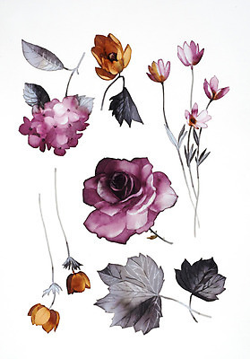 JPG 해외이미지 식물 꽃 꽃다발 일러스트 붓터치 수채화 사람없음 그림 번짐 해외202004 해외일러스트 파일형식 효과 이미지허브