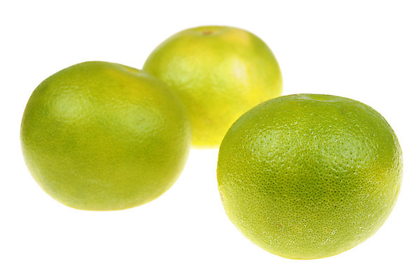 포토 JPG 해외이미지 과일 귤 건강 사람없음 초록색 흰색 신선 고립 해외202004 해외포토 컬러 파일형식 이미지허브